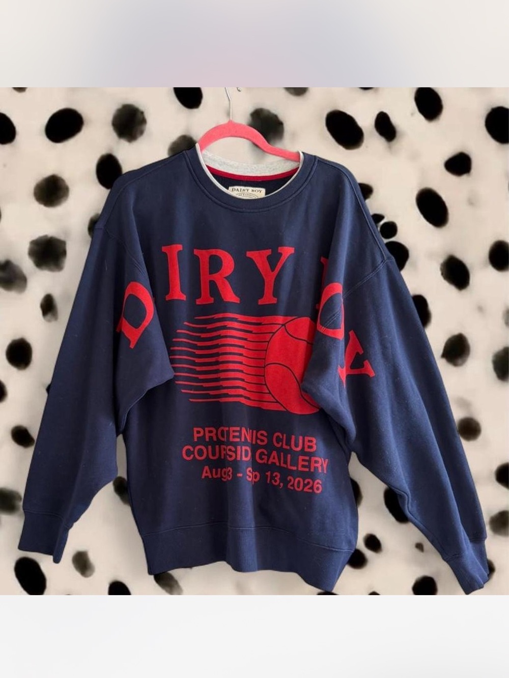 Daisy Boy Navy Crewneck Sweater with Red Graphic
